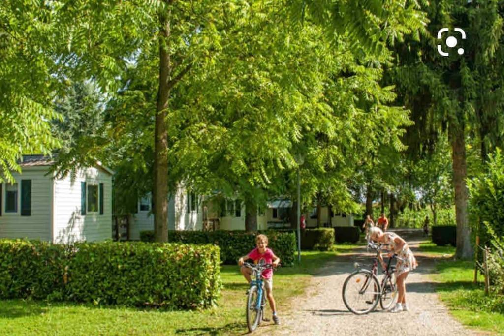 Location Mh Situee A 15 Mn D Europa Park Et Rulantika Lägenhet Boofzheim Exteriör bild