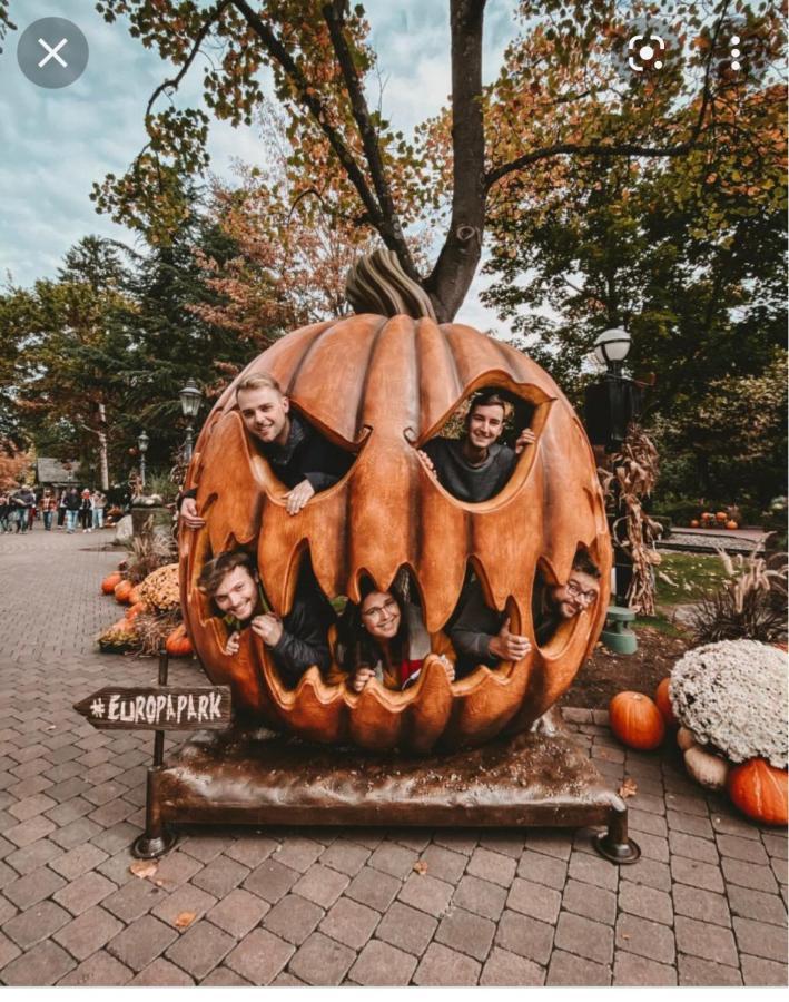 Location Mh Situee A 15 Mn D Europa Park Et Rulantika Lägenhet Boofzheim Exteriör bild